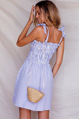 Blue Stripe Pleated Button Mini Dress