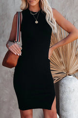 Days With You Sleeveless Bodycon Knit Dress