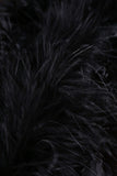 Black Feather Crop Cami Top