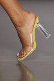 Clearly On Trend Lucite Heels