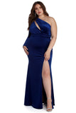 Plus Marina One Shoulder Velvet Dresses