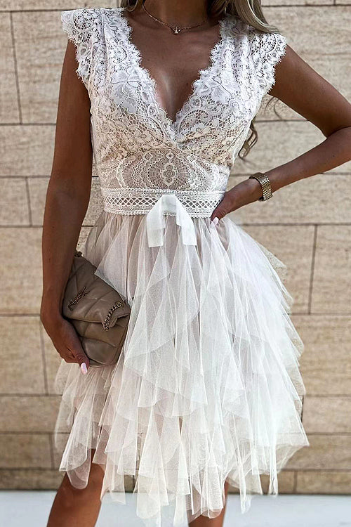 Absolutely Stunning Lace Mini Dress